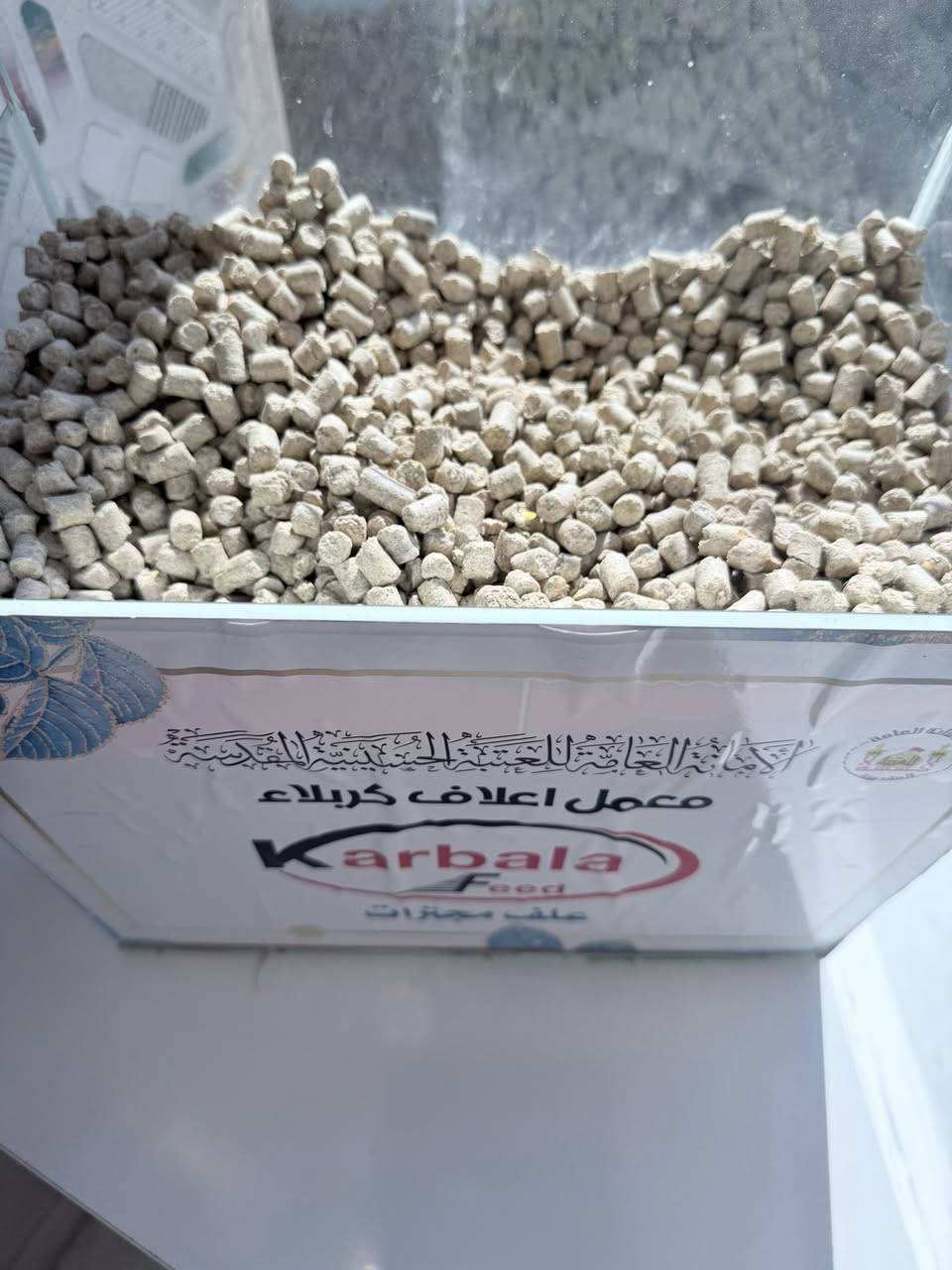 متاح بكميات مفتوحه 

🐑 طريقة التغذية الصحيحة
1. التدرّج مهم جداً
لا تعطي البلت مباشرة بكميات كبيرة
ابدأ بـ ربع الكمية وزيد تدريجياً خلال 7–10 أيام
👉 حتى تتجنب الحموضة (Acidosis)
2. تقديم العلف
يُقدم على وجبتين يومياً (صباح + مساء)
لازم يتوفر ماء نظيف باستمرار
يفضل تقديم تبن أو علف خشن مع البلت
3. التوازن مع الأعلاف الخشنة

⚠️ ملاحظات مهمة
لا تعتمد على البلت وحده
النسبة المثالية:
60% علف خشن (تبن/جت/دريس)
40% أعلاف بلت

💡 نصيحة مهنية
إذا هدفك تسمين سريع:
زوّد البلت تدريجياً
قلل العلف الخشن لكن لا تلغيه
راقب الوزن أسبوعياً
أغنام تسمين:
2% إلى 3% من وزن الجسم
(خروف 50 كغم → 1 إلى 1.5 كغم يومياً)
نعاج (حامل/مرضع):
0.5 إلى 1 كغم يومياً حسب الحالة
أبقار حلوب:
1 كغم بلت لكل 2–3 لتر حليب
أبقار تسمين:
1.5% إلى 2% من وزن الجسم يومياً
(مثلاً: بقرة 400 كغم → 6 إلى 8 كغم بلت)
***********
