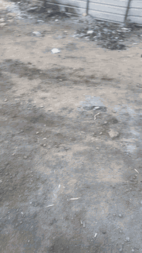 حافضة بوكس بوب ثنين سلايد وبوب خلفية تنشد على كيه نثية للبيع مكاني حي ...