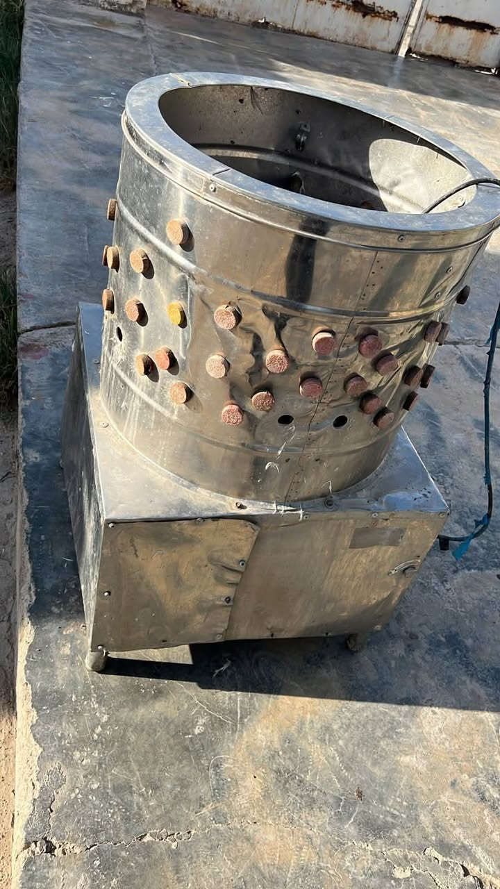 غراض محل دجاج للبيع  أبيعهن كلهن سوه مو مفرد 
سعرهن 250 
***********
