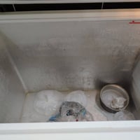 مجمدة • حجم كبير • مع قاعدة