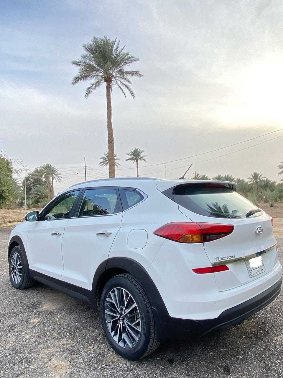 السلام عليكم

توسان خليجي 2020 رقم بابل

مكفوله  سياره 5 عدسات  فول عدا البانوراما 

ماشيه 79   قابل للزيادة

مكانها حله
موبايل / ***********
***********
