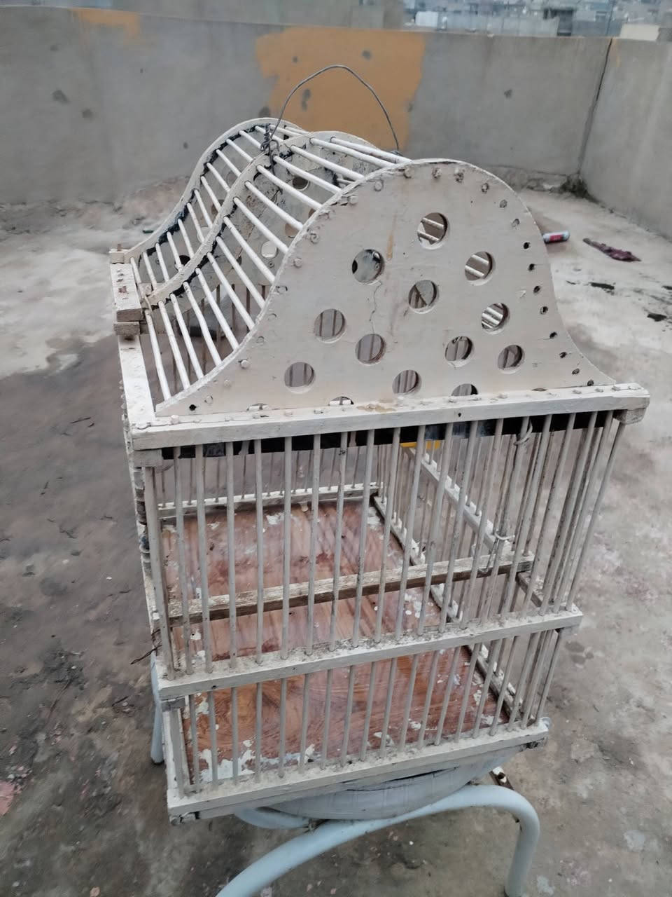 غراض مستعمله #للبيع
سعر البايسكل الأسود ٦٥ وبي مجال التيات جديد 

 القفص يرهم للطيور الكناري او البلابل سعر ٢٠ وبي مجال
للاستفسار مراسله الصفحه او الاتصال على الرقم ***********
