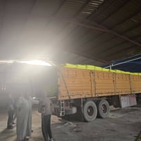 سماد داب السنبلتين • توصيل مجاني • جملة