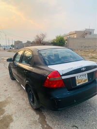 افيو • ٢٠٠٩ • أربيل