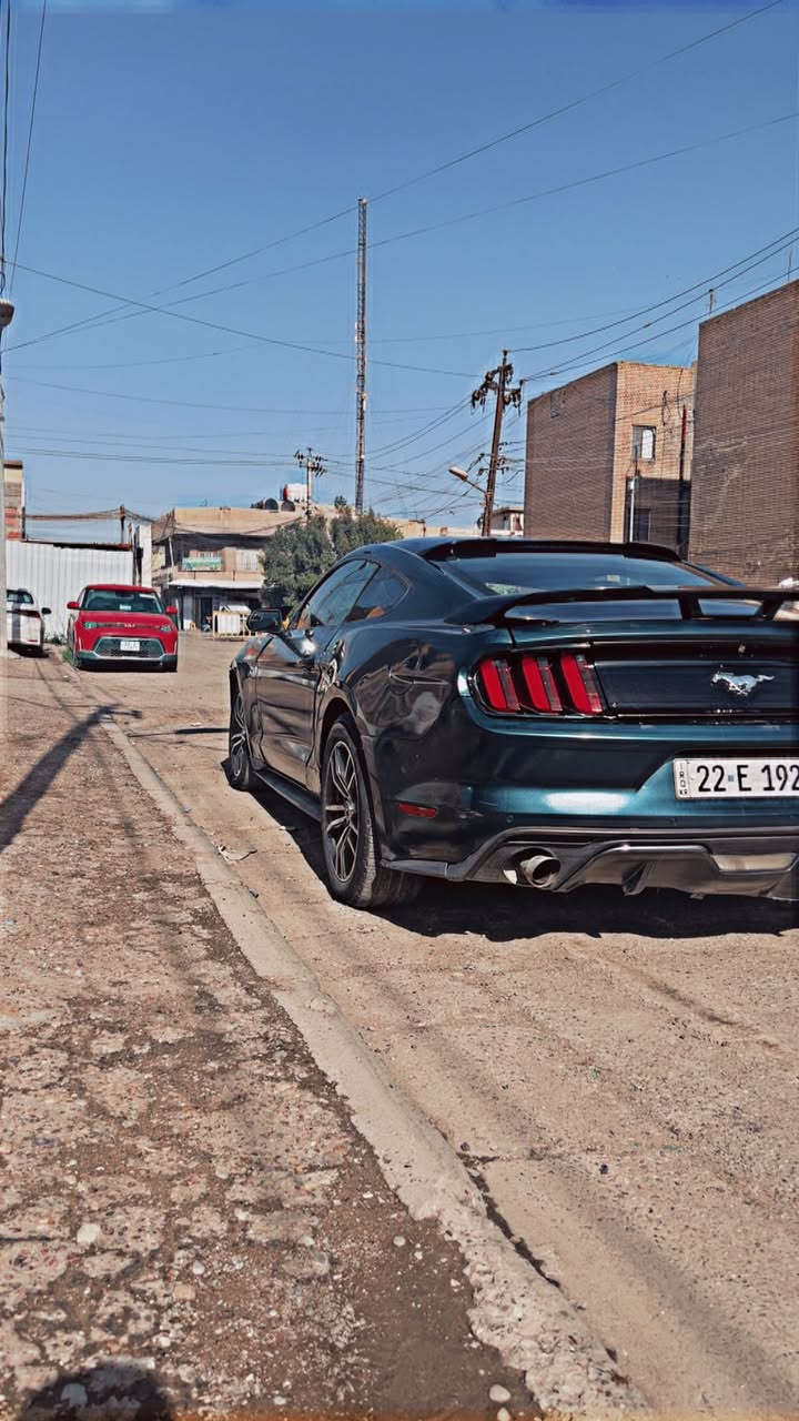 موستنك 2016 V6
وارد كندي 
صبغ احزام 
ضرر لغد جهة السايق مصبوغ 
محرك جديد 
صدر امامي وكالة جديد 
صدر خلفي وكالة جديد
لويات دبلات وكالة جديد 
منضومة ماء كلها جديده 
ادامة محرك جديده 
كلهن شغل علي الصميدعي 
دوشمة جلد احمر جديده 
بطانة جاملغات جديده
درع جديد 
برمجة سيف تيتو 
 سعر 117  
***********
