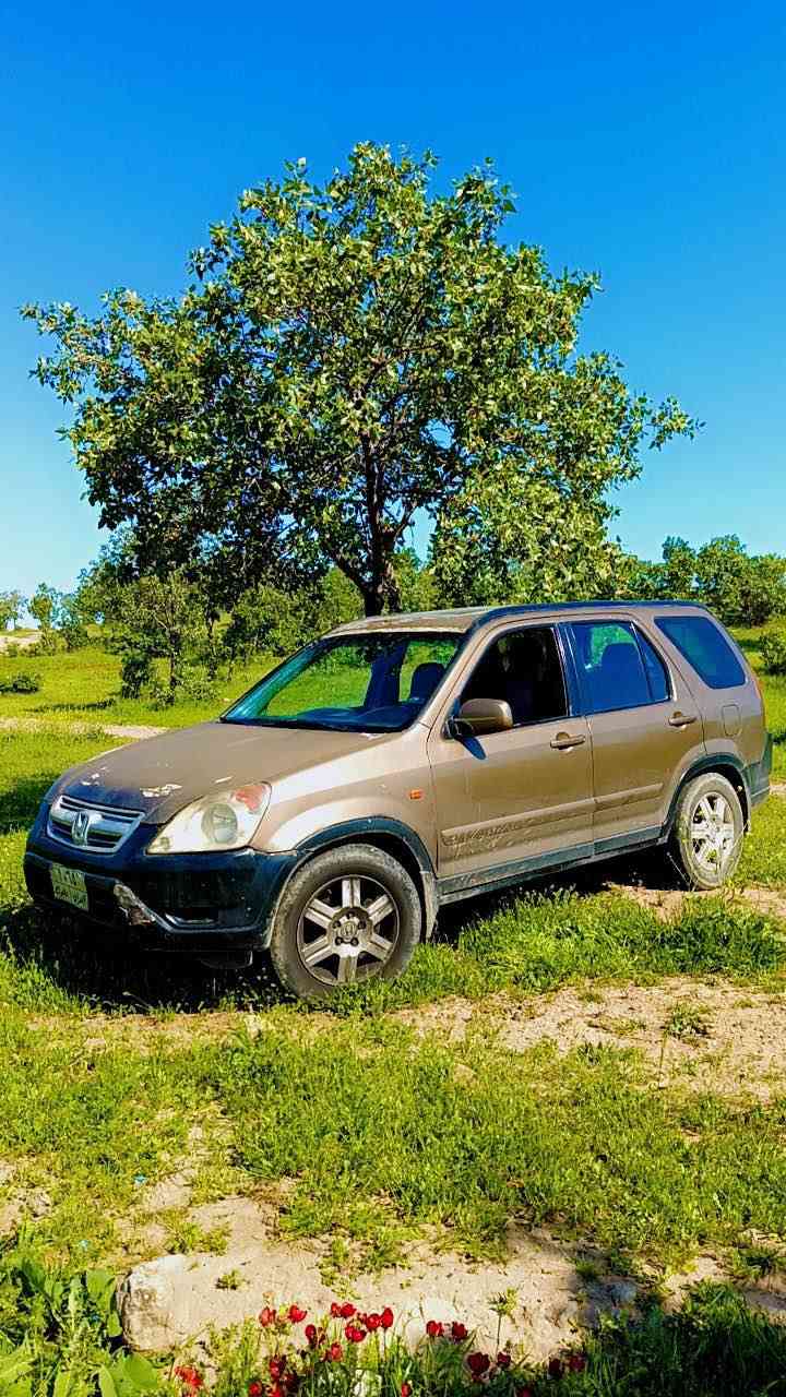 هوندا ٢٠٠٢جيب گير توماتيك ٤بستن عام سبغ مليونه ك خرامه ل سه ره ديژ به ر سعري هيت كوشتن سعر ٣٧ورقه بجك مجال ..تحويل ب شه رت دهوك, العراق


**إذا كنت صاحب هذا الإعلان وتريد حذفه لأي سبب، رجاءا أرسل رسالة إلى الدعم الفني**