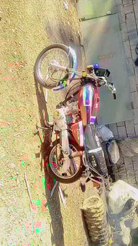 نامي ٢٠٢٥ • اوراق كاملة • ديالى بلدروز