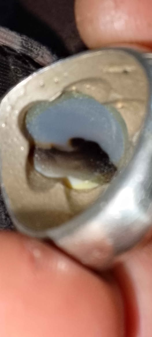 خاتم فضه صياغة 
عقيق يماني سعره30 البصرة, العراق


**إذا كنت صاحب هذا الإعلان وتريد حذفه لأي سبب، رجاءا أرسل رسالة إلى الدعم الفني**