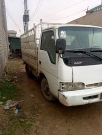 كيا فنتيره • بدون أوراق • موصل الرشيدية