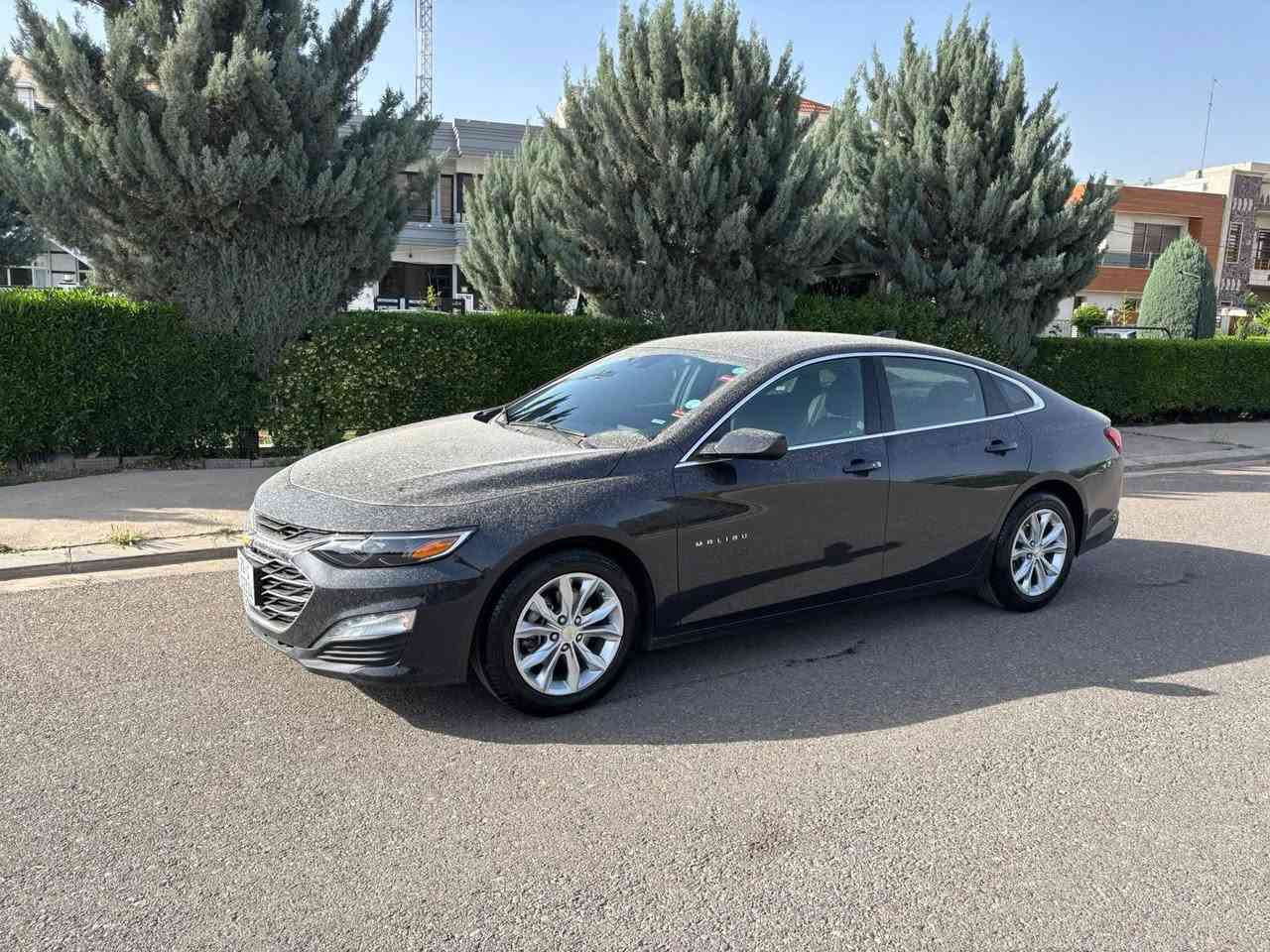 لسلام عليكم عندي ويل 19مال بريمير اريد مراوس ب 17او18مثل البل صور اي ستفسار نتصل ***********//***********
