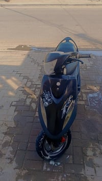 ماكس • كفالة • بغداد الدوره