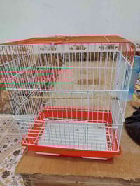 قفص صغير • نضيف • القادسيه