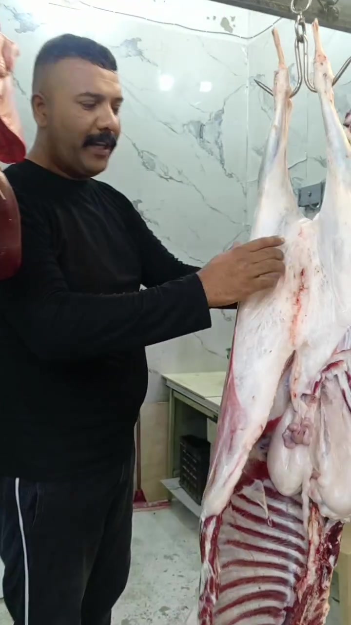 الهم صلي على محمد وال محمد قصابية رياظ الحم غنم خالص درجه اوله توصيل مجاني سوك كصاصيب مقابيل مطعم مصطفى مكي


**إذا كنت صاحب هذا الإعلان وتريد حذفه لأي سبب، رجاءا أرسل رسالة إلى الدعم الفني**