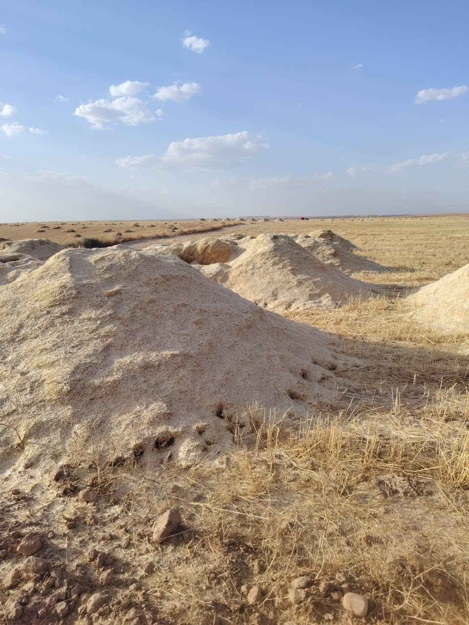 متاح تبن حنطه تبن دجه اوله نضيف حيل مال شفاطه عربانه دبل سعر العربان 75قفل العنوان بريت جحله للإستفسار تصل ***********
