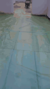 شتايكر سطوح • الخلفة • واتساب