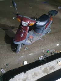 دراجة • جديدة • فحل