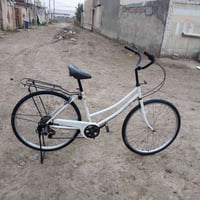 باسكل • القاسم • سعر خاص