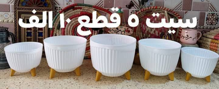 ❤️لكثرة الطلبات 🌹
🪴يتوفر لدينا جميع اكسسوارات نباتات وسنادين بلاستك نوعيه ممتازه 🦊🪴 🐼 
🚕توصيل كل محافظات العراق 🚕 
🪴الزرع لعرض فقط 🪴 
يتوفر جمله ومفرد 🐼 🦊 
حجز على خاص ☎️
📞***********📞

🐼تتوفر لدينا جميع اكسسوارات نباتات 🐼
🪴و سنادين مختلف الأشكال والأحجام والألوان 🕊️🐝🐞🐦🕊️🦋🐦🐞🌿🍄🕊️🐞🦋🐦🍄🌿
متوفر دعسوقات 🐞 🐞🐞🐞
ونحلات لاصقه 🐝🐝🐝🐝🐝
وفراشات 🦋🦋🦋🦋🦋🦋
فطر زينه 🍄🍄🍄🍄🪴💕
1-🐼باندا او سنجاب 🐼 
 2- فطر جيس الف🍄
3-🐞دعسوقه صغير حمراء ٤٠ قطعه با الف🐞
4-🐞وسط ٢٠ وسط جيس الف 🐞
5-🐞دعسوقة خشن ١٠ قطع با الف 🐞
6-🐞دعسوقة ملون ١٠ قطع الف🐞
7-👍كف ١٠ قطع الف 👍
8-🐦عصفور ٥٠٠ القطعه 🐦
9-🪴غصن مترين رفيع  الواحد الف 🪴
10-🎊نشر ضوئيه مترين الف 🎉🎊
11-🌹🐝نحله صفراء ٤٠ قطعه با الف🌹🐝
12-🌹🍄نحله وسط ١٥ قطع الف🐝🐝
13-🌹🦋🦋🌹فراشه عاديه لصق وجهين و مغناطيس ١٠ قطع با الف🦋
14-❤️جيس ١٠ قطع  ماسك لبلاب كف 
١٠ قطع الف👍
15-🍄١٠ قطع فطر اكبر شويه الف 🍄
16-🕊️حمام وسط الف🕊️
17-🕊️حمام كبير الفين 🐝🕊️
18-🪴ماسك لبلاب الف 🌿
🦋
19- فراشات سيم صغيره  ٤ سم 4 با الف🦋
🦋٧ سم ٣ با الف🦋
🦋٨ سم و ٩ سم  ٢ با الف🦋
20-فطر ملون صغير 10 با الف🍄
21-دعسوقة ام عوده ملون جيس 10 قطع الف
22-فطر احمر كبير او صغير جيس الف🍄
23-فطر ملون  صغير او كبير جيس الف 🍄
24- دعسوقة كبير جدا الوحده الف 🐞
25-حجر مضيئه جيس الف 🟣🔵🎊🎉
26- حجر ملون فقط جيس الف 🔵🟣🎊
🪴الزرع لعرض فقط🪴 
#توصيل كل #محافظات_العراق
#بغداد #ناصريه #نباتات #ديوانيه #زرعاتي #سنادين_ورد #ديكورات #نباتات_منزلية_داخلية #نواعم #بابل #البصره #ديالي #واسط #المثني #ديكورات_خشب
#سناد #سناد_زرع #نباتاتي
