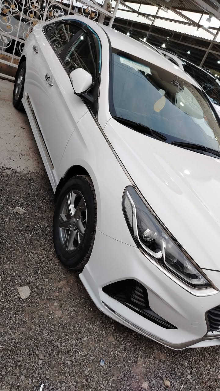 سوناتا 2018 خليجي
مكفولة كفالة عامة من كلشي وسونارها مرافق بصور
#السعرررررررررررررررر
168$سوناررررر بل صور وبلاش هاي سياره #مكاني حله مركز مدينة 
المواصفات
مكينة 2400 دوش برغي ممفتوح بي
عداده مملعوب بيدك جرص على 120
ثلاث وضعيات قياده
کشن كهرباء
تحكم مرايه كهرباء
تبريد قطعتين
مري شفط + اشاره بلمري
تحكم ستيرن جهتين
لایت زینون
لد نهاري
كامره خلفيه + حساس خلفي
ويل كروم حجم 17 + تخم تایر جدید
دبل اكزوز
شباك نيكل
ترایش نیکل
حساس اطار
ارضيه جلد
سبير منازل
رقم اربيل  تحويل ثاني يوم 
سيارة جديدة جدا جدا بحاله الوكاله بلعافيه ع
الياخذها

الاتصال او الاستفسار او واتساب عن السيارة  هيونداي سوناتا  رقم

 ***********
