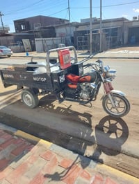 ستوته • موديل 2023 • أوراق أصلية