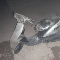 زنبور • خبط • دهن
