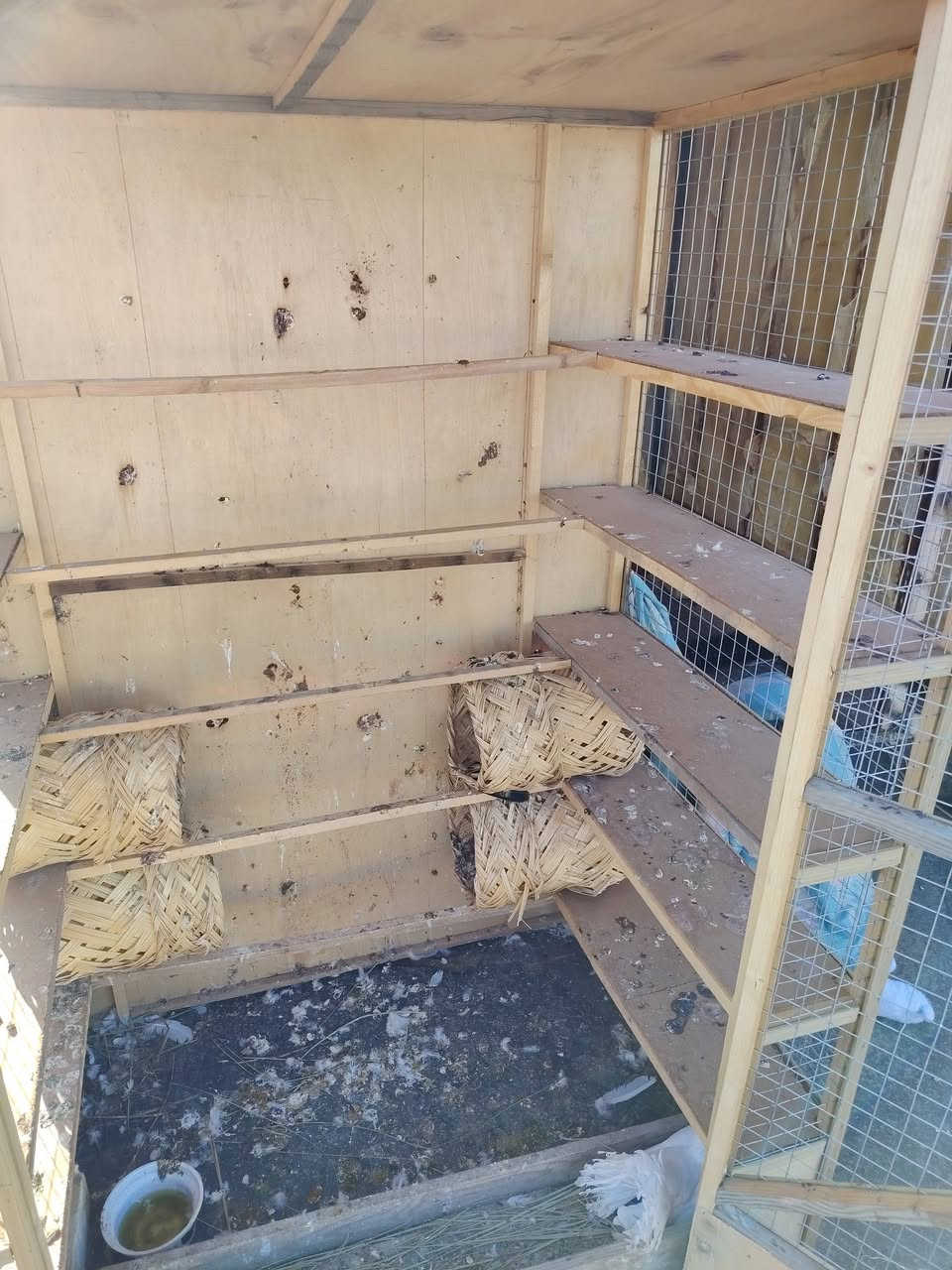 سلام عليكم للبيع مكاني أبو غريب الشيحه ٥٠ ألف وبي مجال استعمال أقل الشهر ***********
