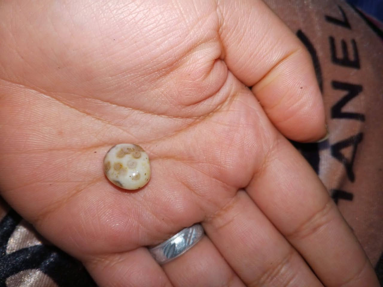 للبيع قيم باليرضي الله


**إذا كنت صاحب هذا الإعلان وتريد حذفه لأي سبب، رجاءا أرسل رسالة إلى الدعم الفني**