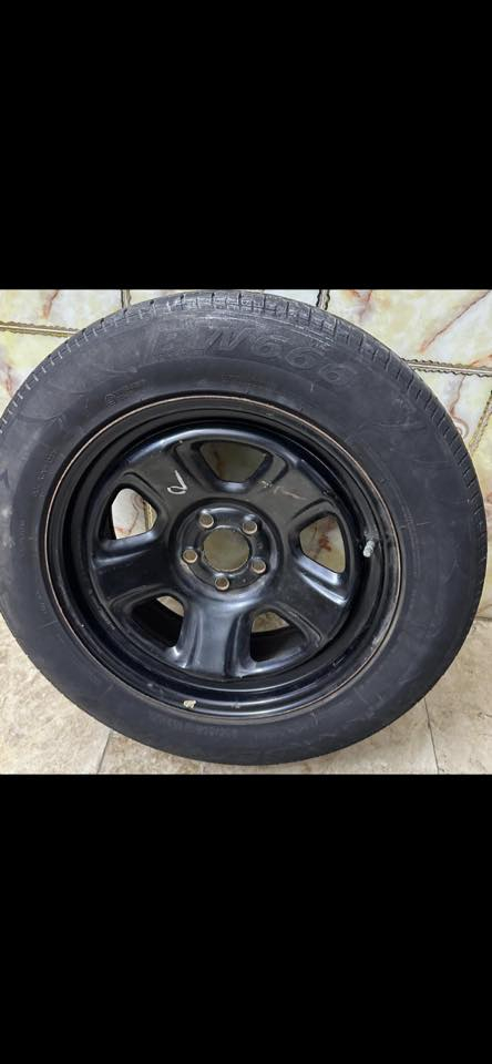 السلام عليكم من رخصت الادمن  عندي هاذه الويل مال 12 مراوس بويل بوليسي أو بيع ***********
