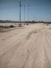 بطاط • زراعي • ٢٠٠م