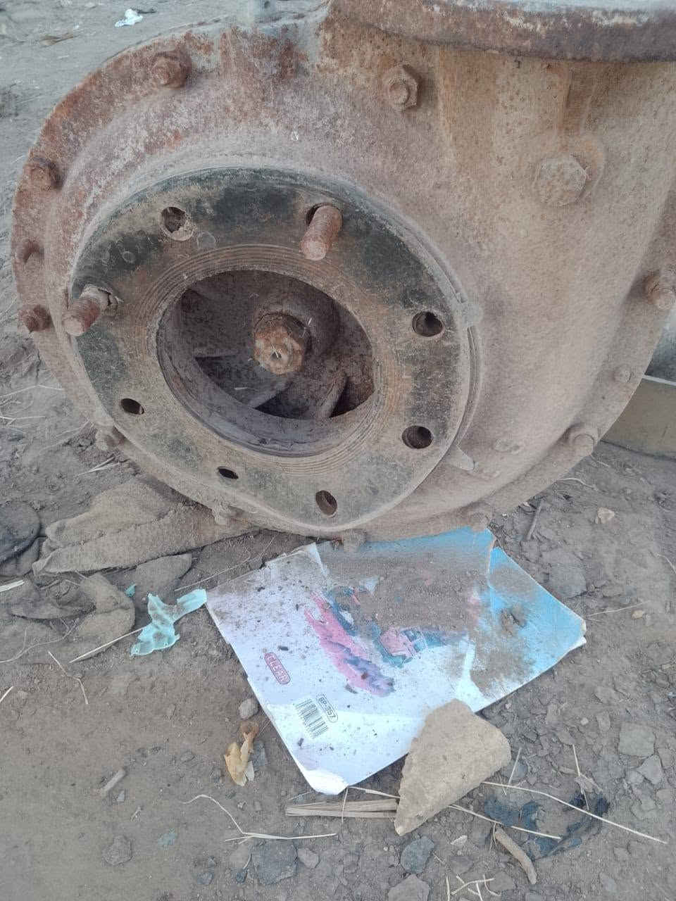 سلام عليكم خنازير عدد 2 وصونده ومذب عنوان ذي قار دوايه ستفسار على رقم ***********
