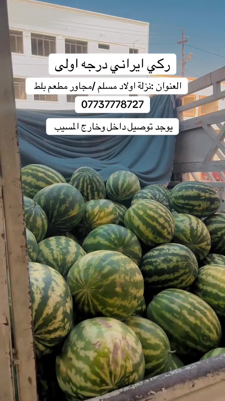 اسعار مناسبه ✨


**إذا كنت صاحب هذا الإعلان وتريد حذفه لأي سبب، رجاءا أرسل رسالة إلى الدعم الفني**