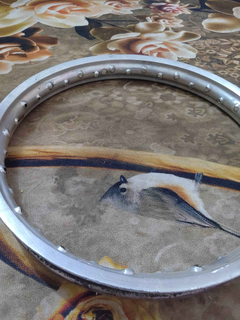 سلام عليكم مر خصت صاحب لكروب للبيع خراض MZ للبيع المكان كربلاء حيل عسكري العابد الشراري ينتصل *********** يوجد توصيل كل المحافظات
