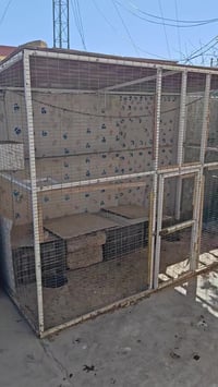 قفص حديد • ارتفاع ٢م • سقف خشب بلوك