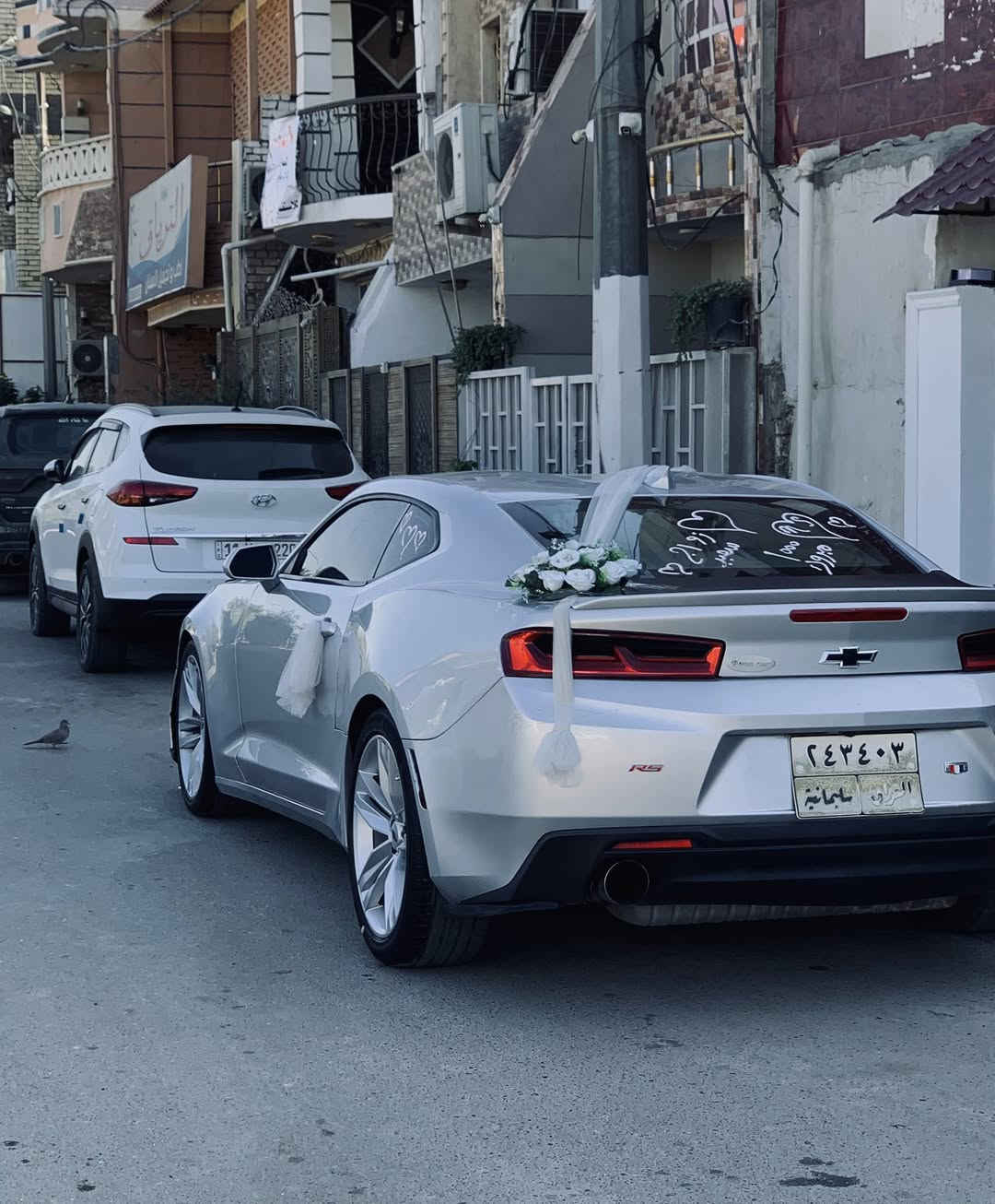 سلام عليكم 🫡 بيع او مراوس اقره للاخير
شوفرليت كمارو 2017 وارد امريكي السياره سبعينيه مختمه كلها بيها 3 قطع صبغ علشرط ( شواصي + لغود + تكم + قماره + حوض ) اكفلهن من الشخط وين ميعجبك افحص مكينه وكير بلاديات  مكينه 3600 شرط شلعه تشك الكاع ودبات  المواصفات 
1.تشغيل عن بعد + بصمه + هندبريك دكمه
2.كشنات جلد + كشنات كهرباء ثنينهن 
3.كشنات تدفئه وتبريد وستيرن تدفئه
4.شاشه اكبر حجم + كار بلاي 
5.سستم سماعات بوس + شفتات ستيرن
6.تحكم ستيرن اربع جهات + شفتات
7.انضمه قياده 3 + مانع انزلاق 
8.تحديد مسار + شاشه اعطال السياره فول الفول عده الفتحه اخوان كلشي موضح بلمنشور السياره بشرط صدرها امامي خلفي جديد اذا بيها طكه بصدر ترجع السياره تبريد ثلج جاهزه عل اخر حبايه تحويل ثاني يوم سنويه مساقطه السعر 118   وبيها مجال بسيط الميعجبه ختولي يلكه الاحسن منها كلشي اكو بلسوك 🖤 السياره بدون ايرباك 
*********** اتصال فقط 
*********** واتساب فقط 
اسف عل اطاله 🖤
