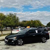 التيما SV • ٢٠٢٢ • بدون صبغ