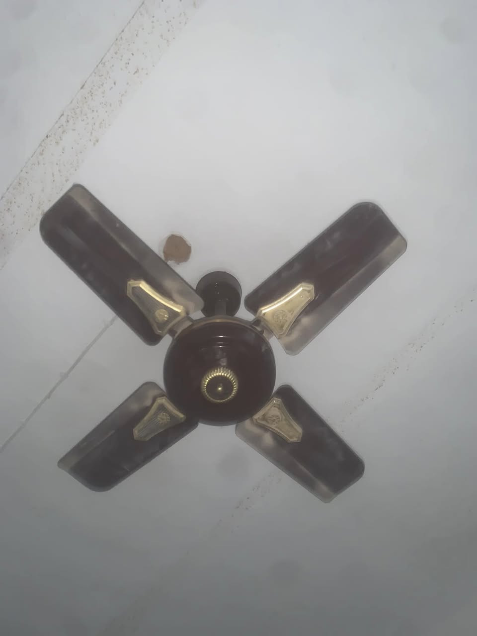 غراض كامن وسعره
قضاء المدينة


**إذا كنت صاحب هذا الإعلان وتريد حذفه لأي سبب، رجاءا أرسل رسالة إلى الدعم الفني**