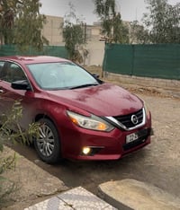 تيما ماروني • ماشيه ١٢٩ ميل • رقم أربيل