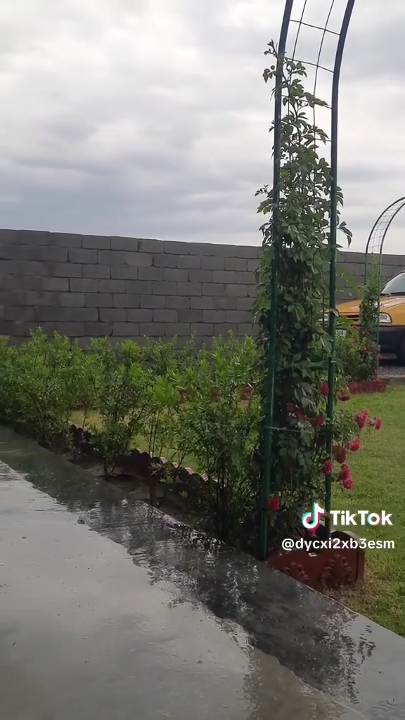 م
مستـعدون🍂 ، لـترتيب🐦 الحدائق المنزلية 🏝️🏘️
وزراعة النباتات، 🌾🌴🌱والازهار، 🌼🌺🌻وقص الثيل. وقص الشجار🌾 التواصل ***********
***********
