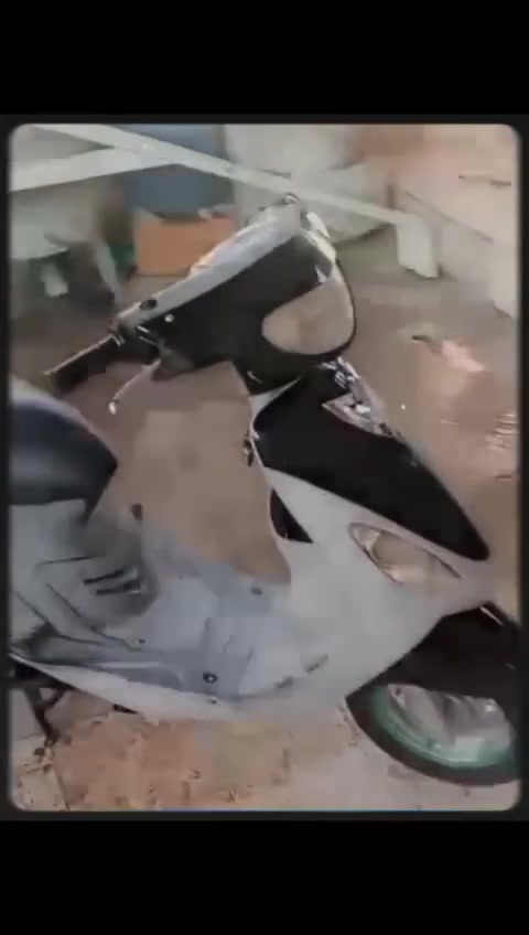 ماكس قجمه للبيع ***********
