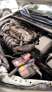 كورلا • ٢٠١٤ • ضاربة شورت