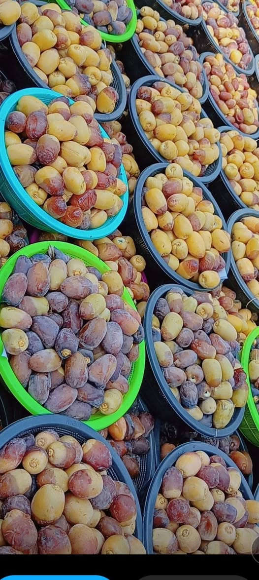زبائننا الكرام وأهلنا الطيبين... بعد انقضاء زيارة الأربعين المباركة، نعود إليكم بكل حب وشوق.
​مثل ما عودناكم كل سنة، موسم جديد وخير جديد من [اسم تمرك أو براندك]، أحلى وأطيب أنواع التمر الفرش من البستان لإيدكم مباشرة. 🌴✨
​📦 نلتقيكم على خير بعد الزيارة لتلبية كافة طلباتكم.
📲 للأحجز والاستفسار: ***********.. واتساب
