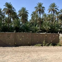 ٢٠٠م • طابو زراعي • منطقة الحكيم