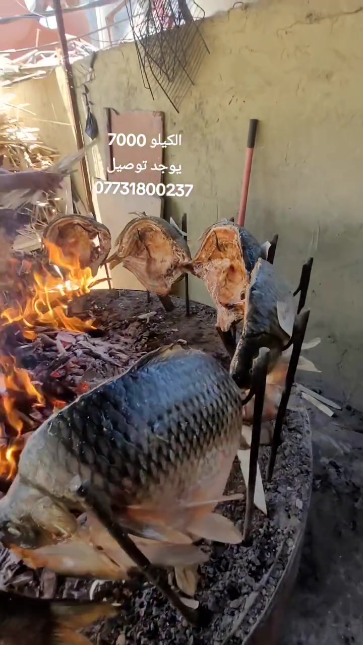 سمك مسكوف الكيلو 7000او الني 5500يوجد توصيل *********** ❤️
