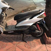 سكنس فحل خطين  650 الدولعي الحريه 07733442303