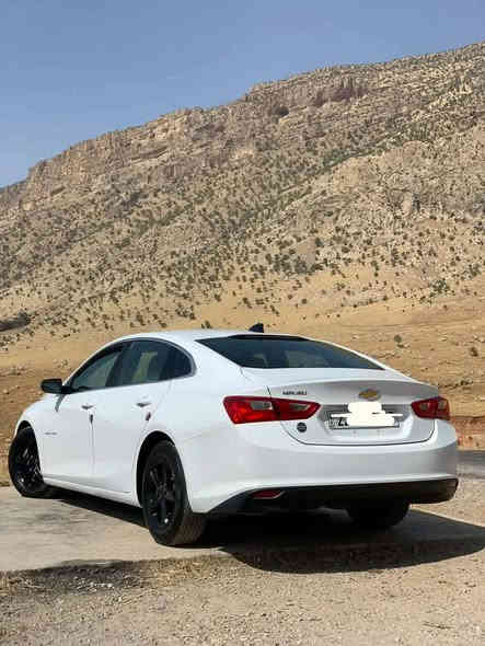 مالیبۆ، دۆدیل 2022، LT، ڕەنگی سپی بەفری، گیڕ و مەکینە و بەناو کردن بەشەرت، هیچ پارچەیەکی بۆیاغ نییە، تەنها دۆسەیەکی بۆیاغ و چاملغی پشتەوەی لای سەکن تۆزێک قوپانی هەیە. پشکنینی سۆناریم داناوە.
نرخەکەی 142 گەڵا
ژمارەی مۆبایلی خاوەن:
***********
***********
ئەگەر سەیارەیەکی بەدڵی من هەبێت، گۆڕینەوەش دەکەم(ڕۆگ سپۆرت، سێنترا).

ماليبو LT موديل 2022،
اللون أبيض ثلجي، القير والمكينة والبطانة بحالة ممتازة، لا يوجد أي جزء مصبوغ، فقط جزء واحد فيه صبغ، والزجاج الخلفي من جهة الراكب فيه تقشير خفيف. الفحص بجهاز السونار موجود.

السعر: 142 مليون
أرقام صاحب السيارة:
***********
***********

وفي حال وجود سيارة تعجبني أقبل أيضاً بالمبادلة (روغ سبورت، سنترا). أربيل
