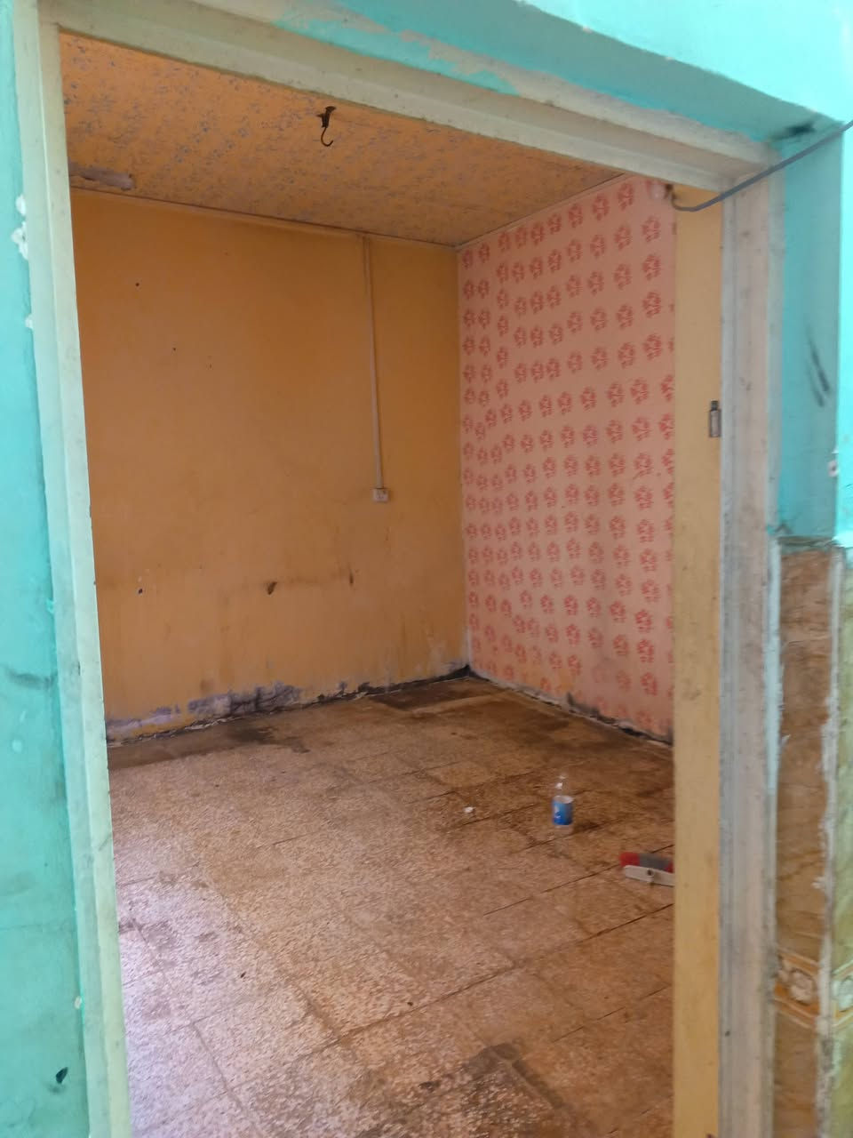 بيت للبيع في مدينه الديوانية حي الامين 130متر بناء طابوك أساس كونكريت  يتكون من براني غرفه صاله مطبخ غرفه فوك قيد الانشاء السعر 48مع مجال  زراعي سند 25رقم***********
