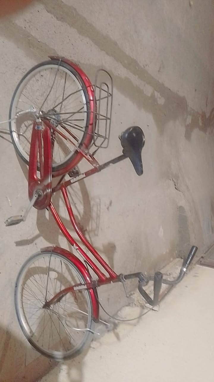 باسكل بناتي للبيع حجم 24بطه الاستفسار عله الرقم ‏‪***********‬‏
