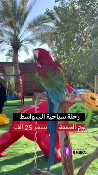 واسط رحلة رمضانية • افطار ريفي • منتجع البرتقال