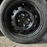 تخم ويل شيري  اراوس ب ويل كب فلاوين مكاني بغداد العبيدي  ٠٧٧١٥٨٨٨٧٧٦