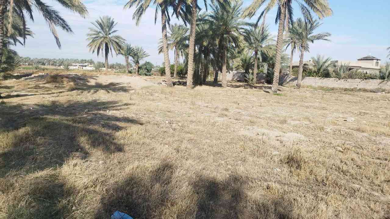 ارض للبيع 3 دونم طابو صرف قريه العناز تبعد عن الشارع العام 100 متر.... جامع +مستوصف بيطري... التبليط فوكها.... كما موضح في الصور... 0783 553 4922....
